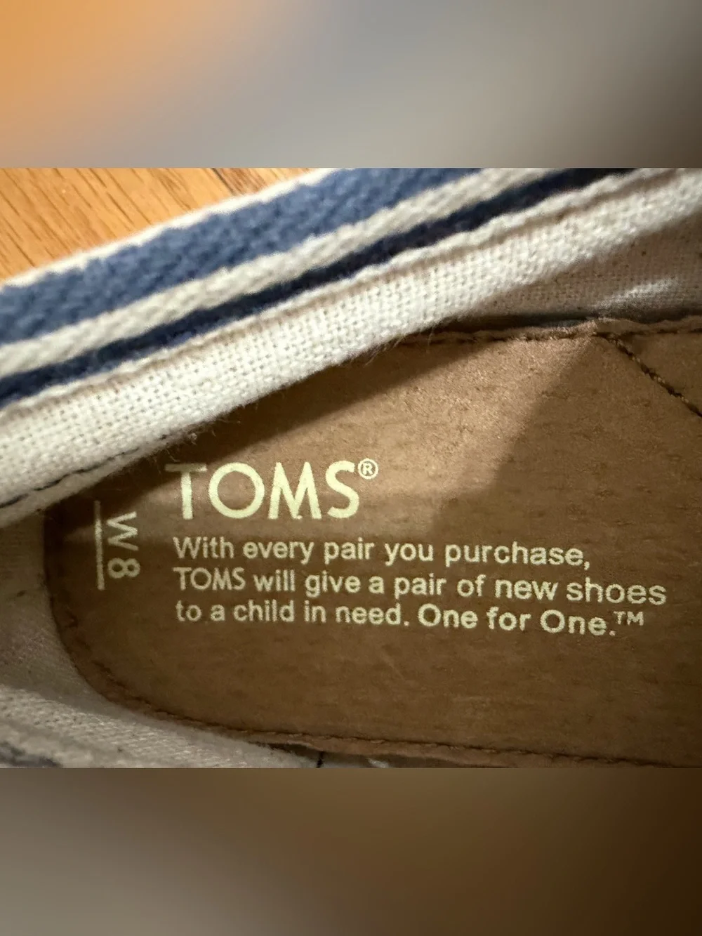 TOMS Navy Canvas Stripe Slip-On Shoe